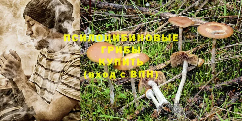 Галлюциногенные грибы Magic Shrooms  где найти наркотики  omg ТОР  Комсомольск 